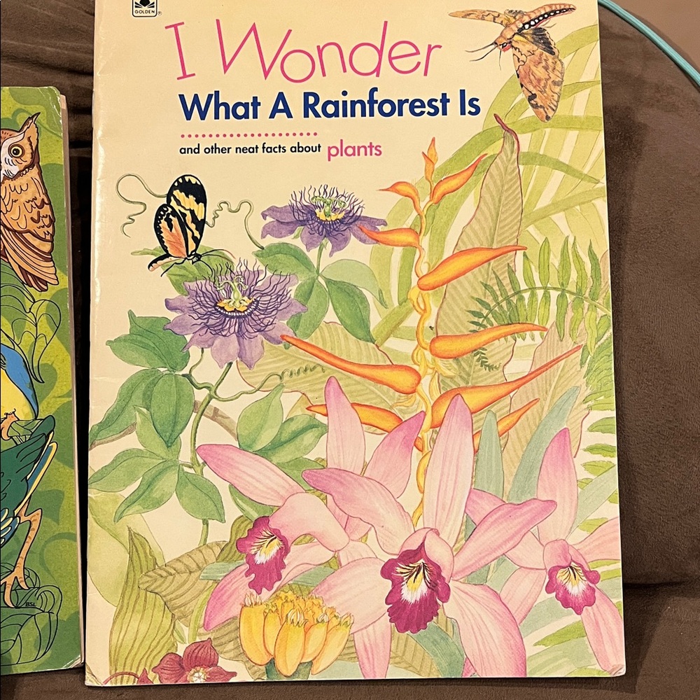 Bird and Rainforest Book Set - Picture 2 of 15
